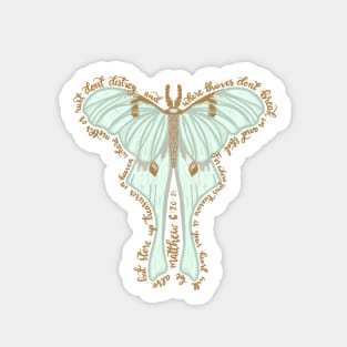 Matthew 6:20 - Store up treasures in heaven, bible verse moth illustration Sticker